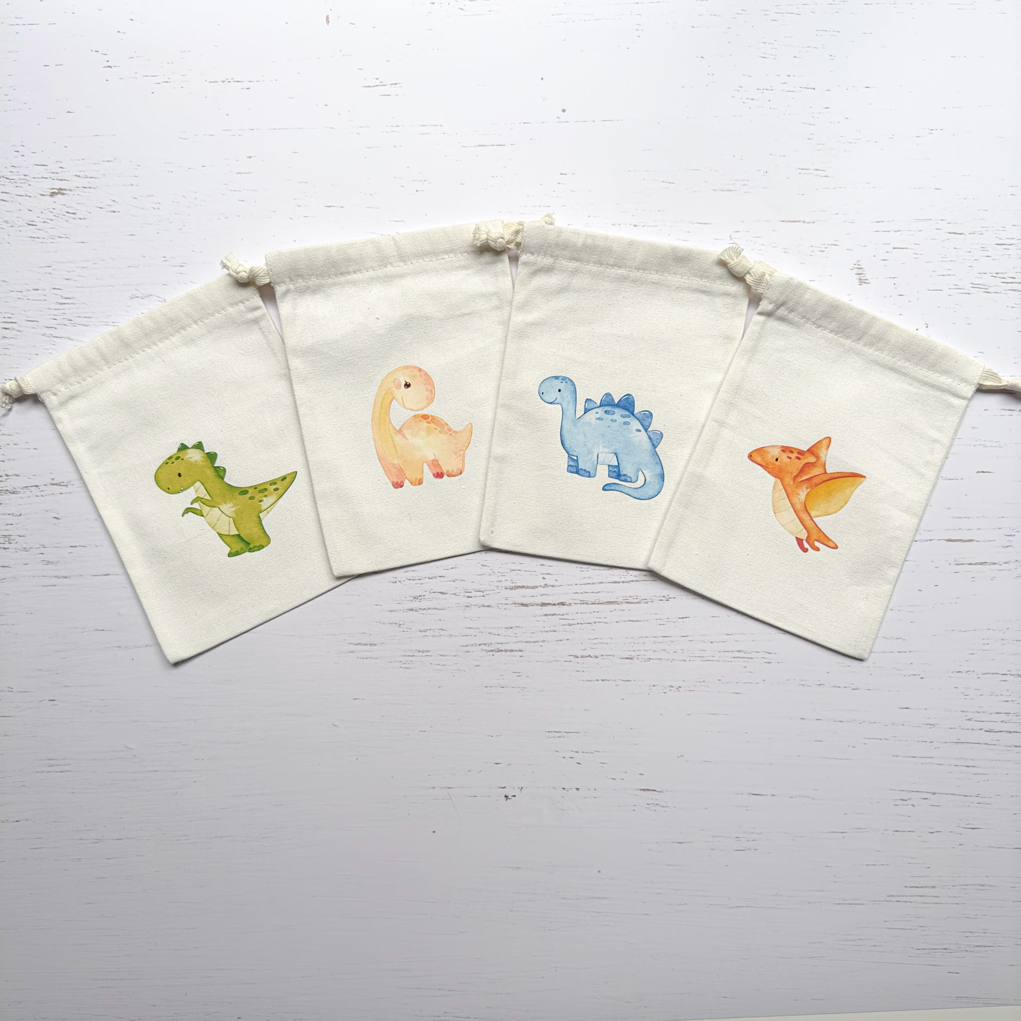 Little Dinosaur Party Bags